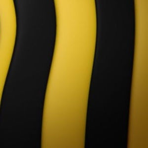 Meet your Posher, Sean